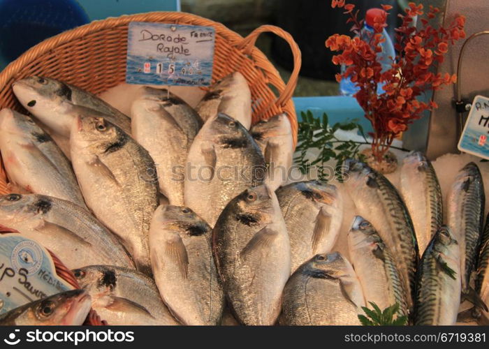 Fresh seabreams on a local fish market in France