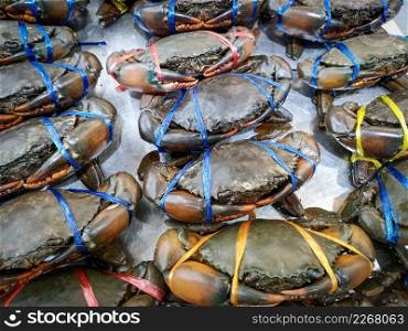 Fresh seafood crab for cooked food at restaurant or seafood market, Raw crab on ice, mud crab