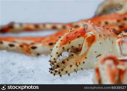 Fresh seafood in fish market. Crab claw lying in the ice. Close-up
