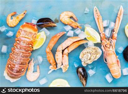 Fresh seafood on blue background, top view. Fresh seafood on blue background