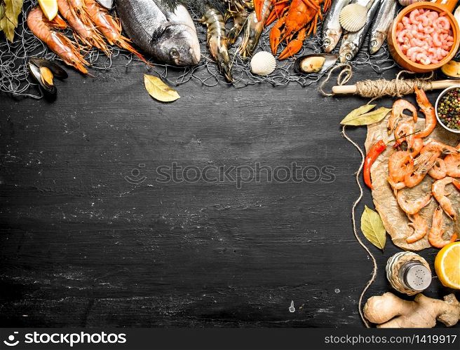 Fresh seafood. Sea food with spices and herbs. On a black chalkboard.. Fresh seafood. Sea food with spices and herbs.