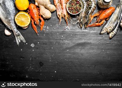 Fresh seafood. Seafood with spices and herbs. On a black chalkboard.. Seafood with spices and herbs.