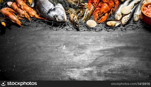 Fresh seafood. Various marine shrimp, shellfish and lobsters at the fishing net. On a black chalkboard.. Various marine shrimp, shellfish and lobsters at the fishing net.