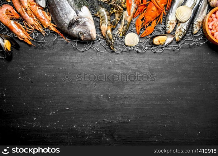 Fresh seafood. Various marine shrimp, shellfish and lobsters at the fishing net. On a black chalkboard.. Various marine shrimp, shellfish and lobsters at the fishing net.