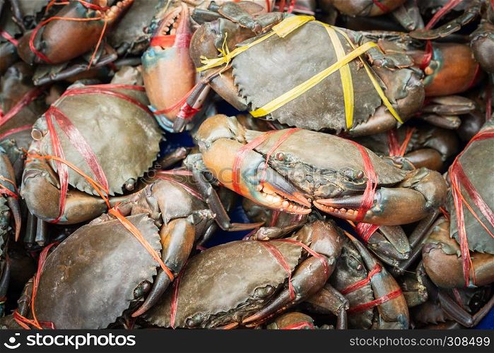 Fresh serrated mud crabs prepare to sell on street food market, Giant Mud Crabs, SERRATED MUD CRAB, Scylla serrata