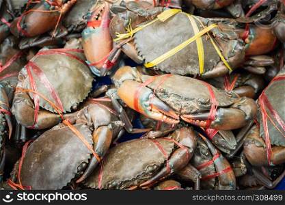 Fresh serrated mud crabs prepare to sell on street food market, Giant Mud Crabs, SERRATED MUD CRAB, Scylla serrata