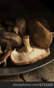 Fresh shiitake mushrooms in moody natural light setting with vintage style. food, fresh, raw, fruit, vegetables, wood, wooden, background, grunge, retro, vintage, moody, dark,