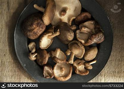 Fresh shiitake mushrooms in moody natural light setting with vintage style. food, fresh, raw, fruit, vegetables, wood, wooden, background, grunge, retro, vintage, moody, dark,