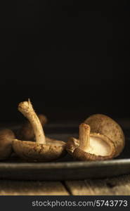 Fresh shiitake mushrooms in moody natural light setting with vintage style