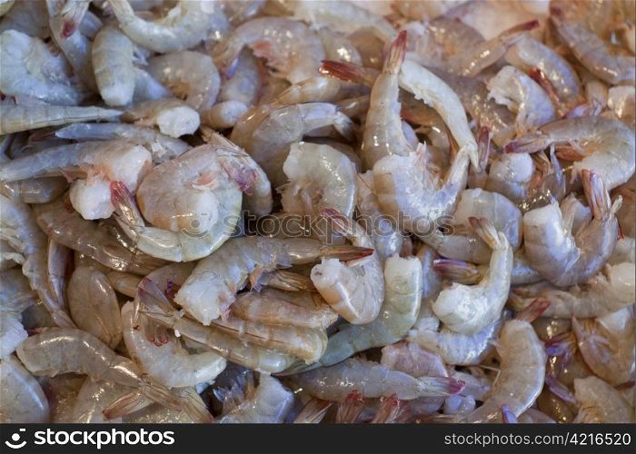 Fresh shrimp at the seafood market.