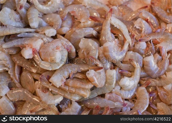 Fresh shrimp at the seafood market.