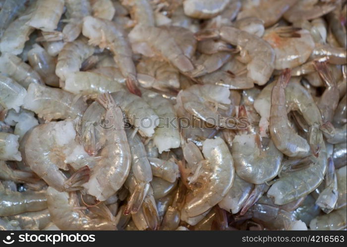 Fresh shrimp at the seafood market.