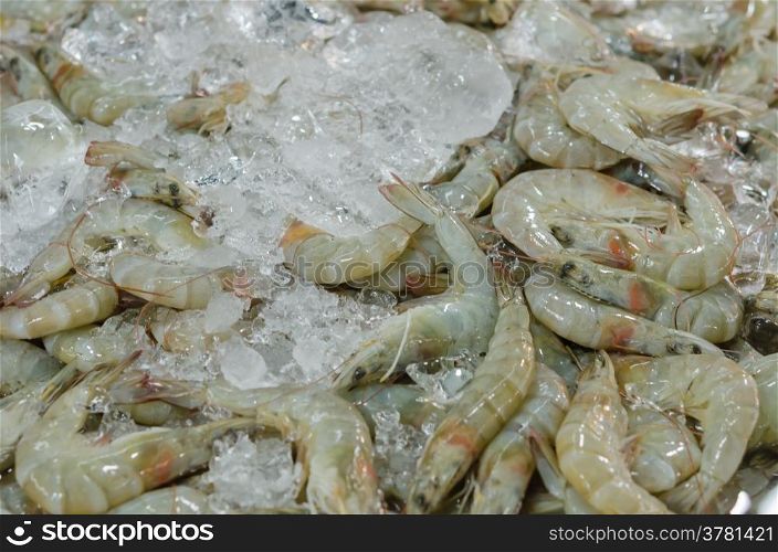 fresh shrimp. Fresh shrimps with ice at the market .