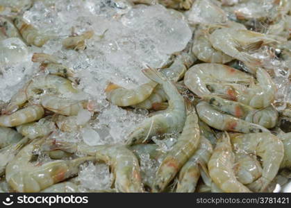 fresh shrimp. Fresh shrimps with ice at the market .