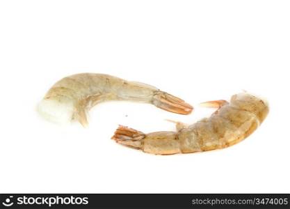 fresh shrimps isolated on white
