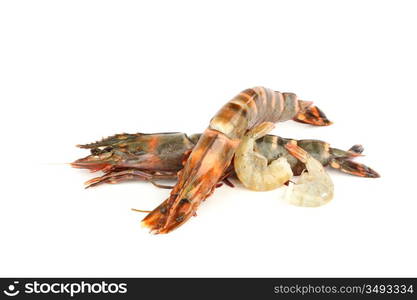 fresh shrimps isolated on white