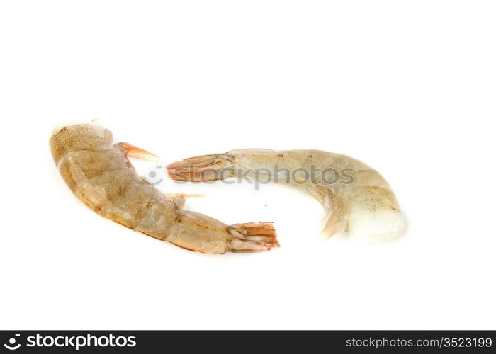 fresh shrimps isolated on white