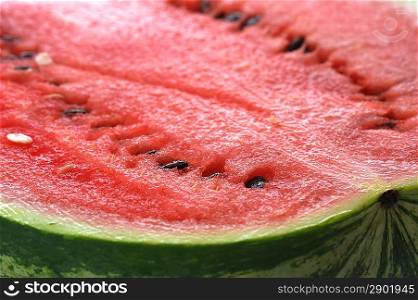 fresh sliced watermelon close up