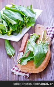 fresh sorrel on board and on a table