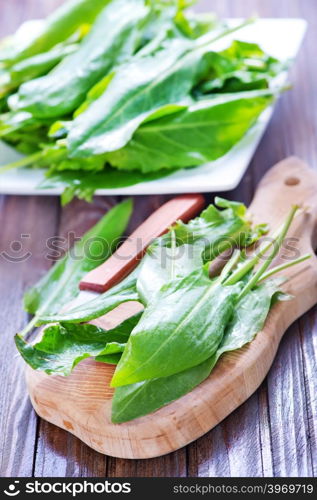 fresh sorrel on board and on a table