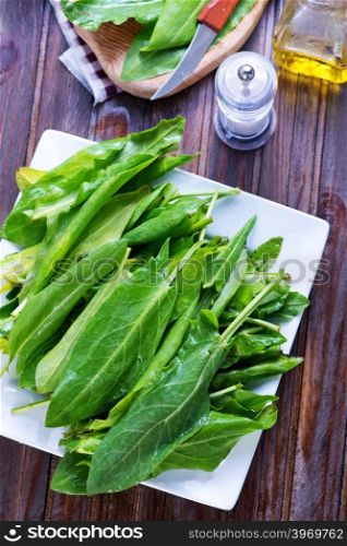 fresh sorrel on board and on a table