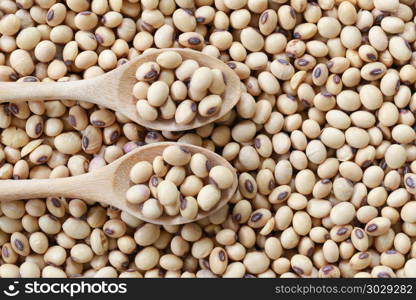 fresh soybean in wooden spoon.. fresh soybean in wooden spoon for design nature foods background.