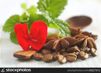 Fresh spearmint leaves red flower with coffee grains and anise spice star on retro wooden table food background. Selective focus.