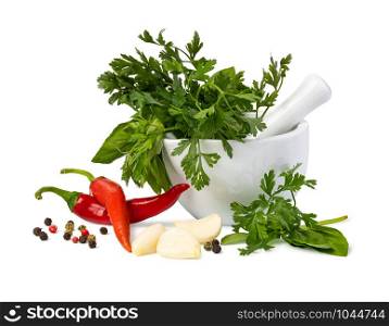 Fresh spices and herbs in mortar isolated on white background. Fresh spices and herbs in mortar