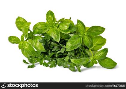 Fresh spices and herbs isolated on white background. Fresh spices and herbs