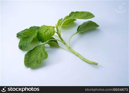 fresh spinach isolated on white background