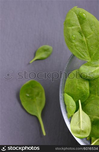 Fresh spinach leaves and water drops