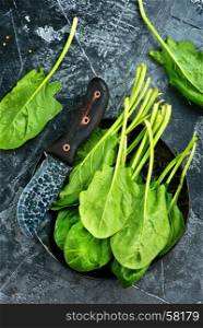 fresh spinach on plate and on a table