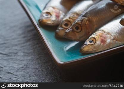 Fresh sprats fish on serving dish