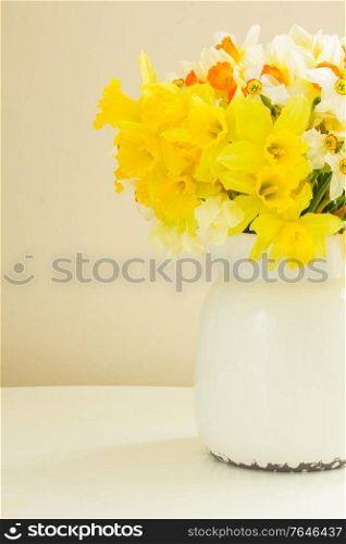 Fresh spring daffodils in white pot on table. Fresh spring daffodils