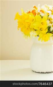 Fresh spring daffodils in white pot on table. Fresh spring daffodils