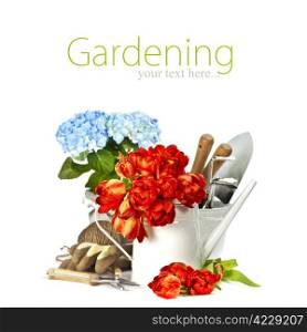 Fresh spring flowers and garden tools