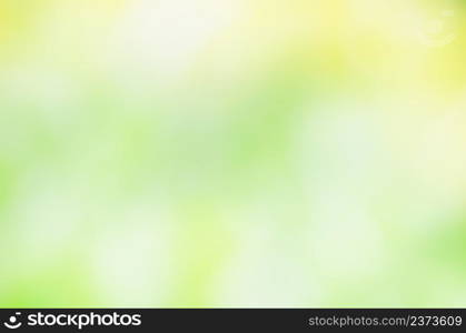 Fresh spring green bokeh and sunlight. Green bokeh out of focus background. Bokeh green nature background