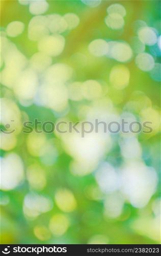 Fresh spring green bokeh and sunlight. Green bokeh out of focus background. Bokeh green nature background