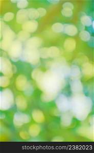 Fresh spring green bokeh and sunlight. Green bokeh out of focus background. Bokeh green nature background