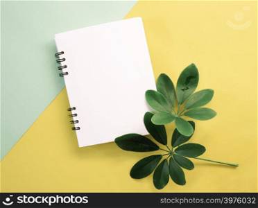 Fresh spring green leaves with blank notebook design on color background. Nature concept.