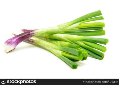 Fresh spring onions isolated over white background