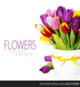 fresh spring tulips on white background (with sample text)