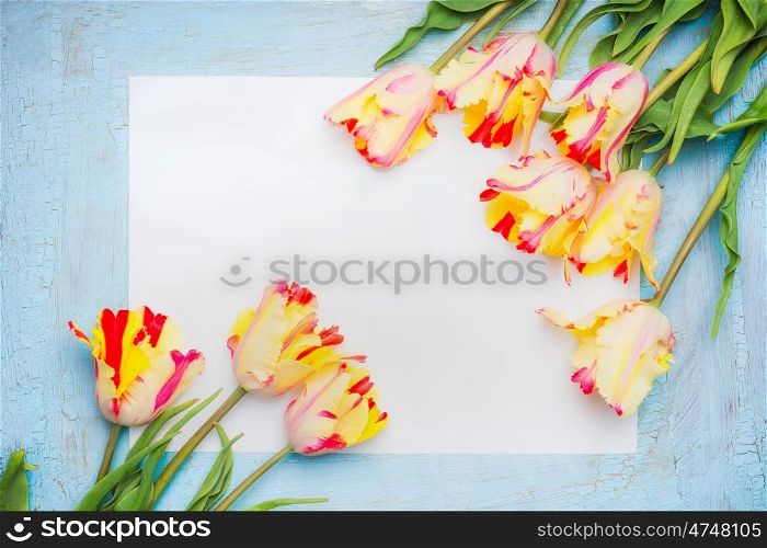 Fresh spring tulips with blank paper card on blue wooden background, top view, frame. Parrot tulips