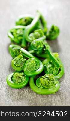 Fresh spring wild fiddleheads close up on wooden board