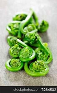 Fresh spring wild fiddleheads close up on wooden board