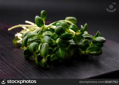 Fresh sprouts or sunflower microgreens on wooden cutting board on dark concrete background