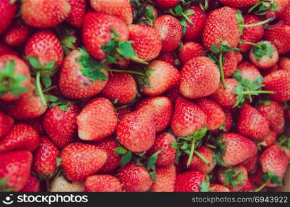 Fresh strawberries bunch background