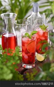 Fresh strawberries combined with fresh juice and tequila. This mojito cocktail is full of vibrant lime, berry and mint aromas. Enjoy your drink