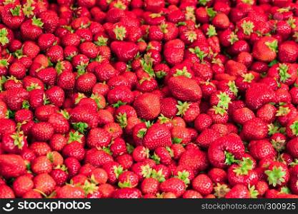 fresh strawberries from garden as background