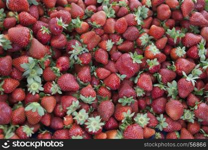 Fresh strawberries on a village market. Ripe juicy strawberries closeup. Great background for a label jam, berry jam, strawberry juice, fruit wine. Fresh strawberries on a village market. Ripe juicy strawberries closeup. Great background for a label jam, berry jam, strawberry juice, fruit wine.